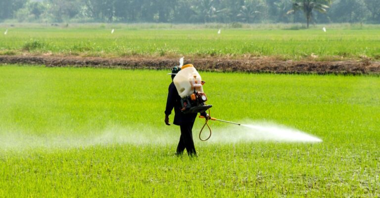 El uso de pesticidas y su efecto en la biodiversidad