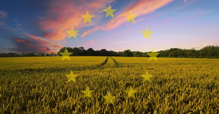 Nuevas políticas agrarias de la Unión Europea y los eco-esquemas como herramienta para alcanzar los objetivos