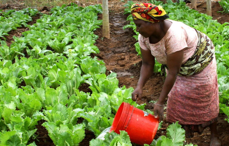 El papel de las mujeres en las comunidades rurales