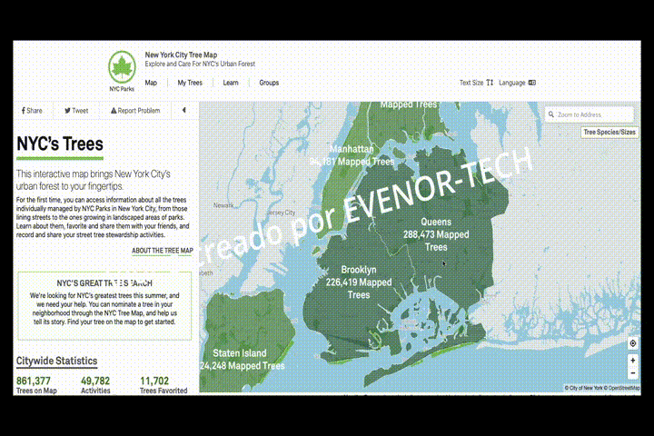 Explorando el Nuevo Mapa de Árboles de la Ciudad de Nueva York: Una Mirada Más Cercana a la Naturaleza Urbana