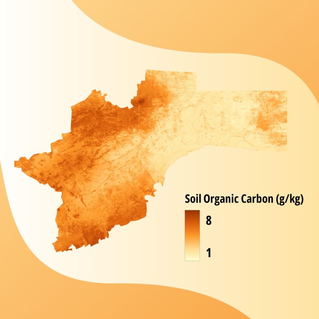 carbono en suelo