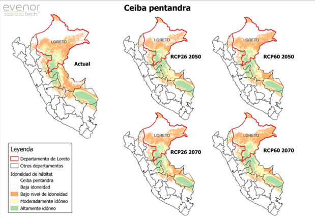 Distribución de la especie Ceiba pentandra en Escenarios de cambio climático